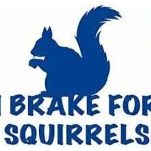 i brake for squirrrels funny vinyl decal 5"